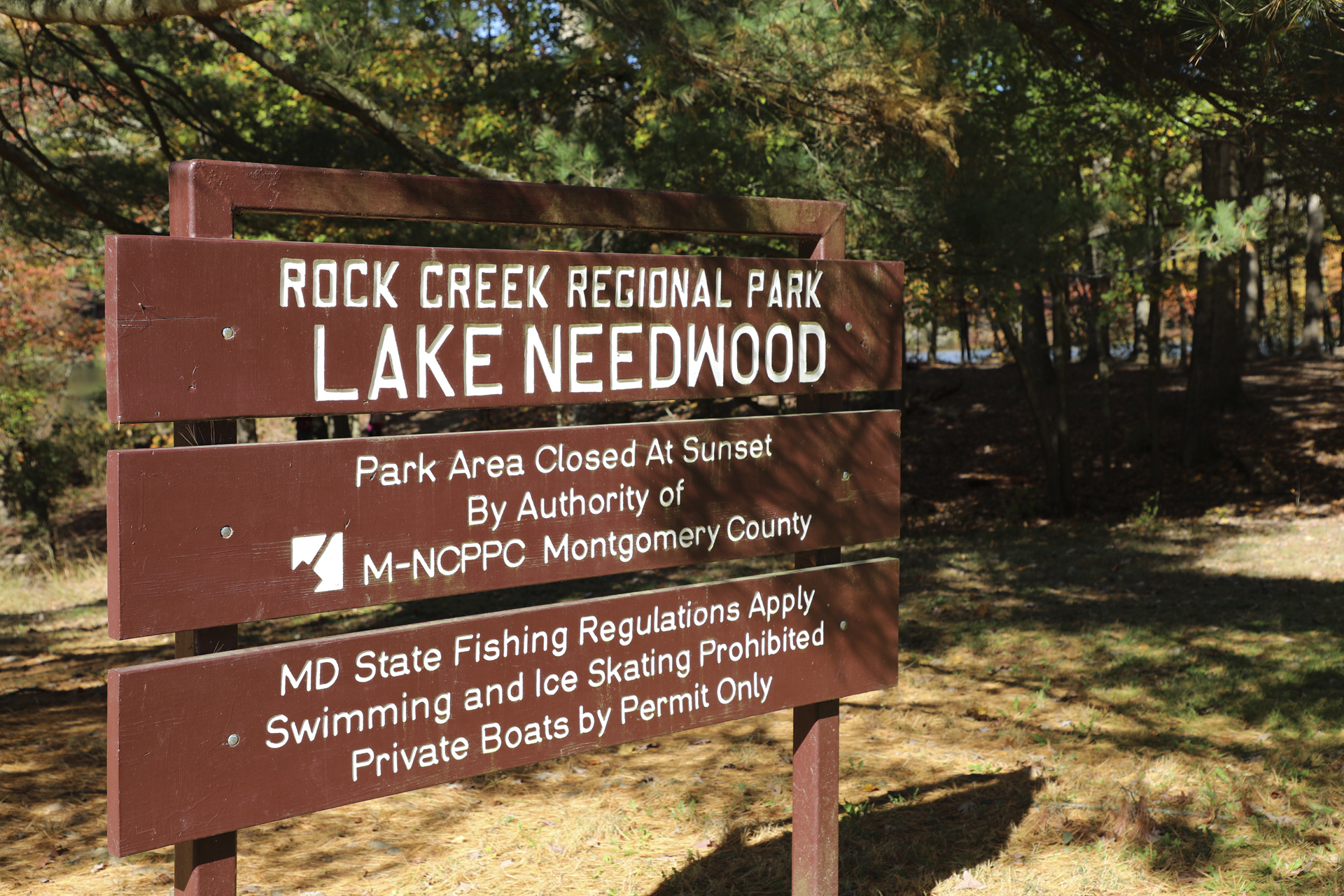 Community Science Festival to be Held at Rock Creek Regional Park -  Montgomery Community Media