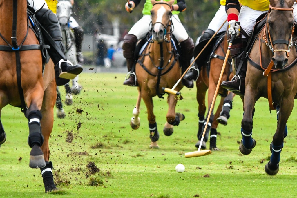 Annual Charity Polo and Jazz Event to Benefit Black Mental Health Alliance