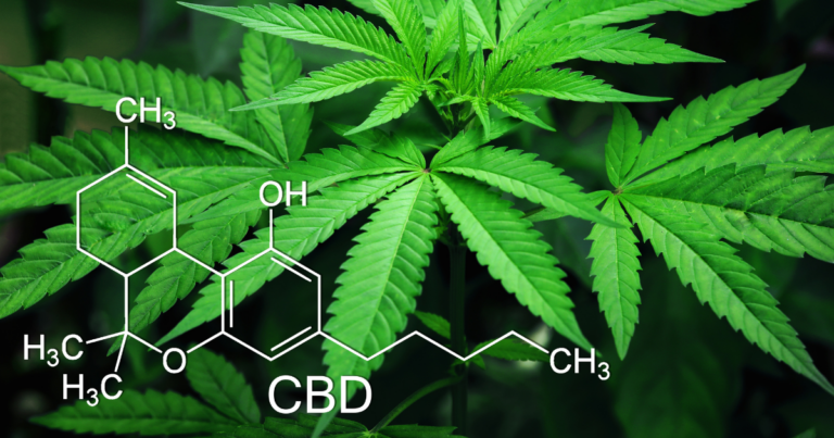 photo of cannabis or marijuana plant with chemical formula